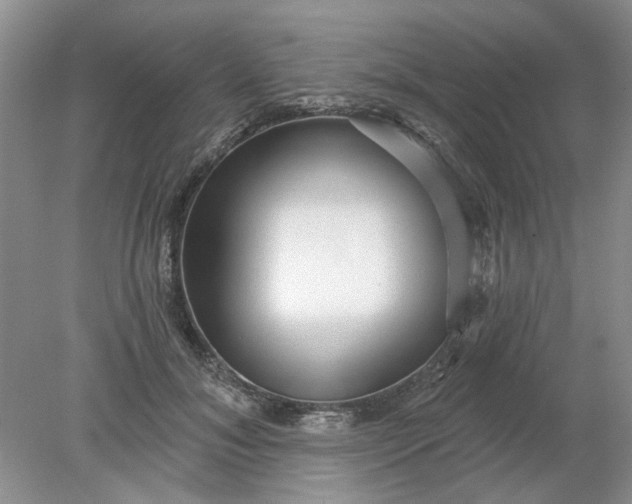 X0000078290700200611172123