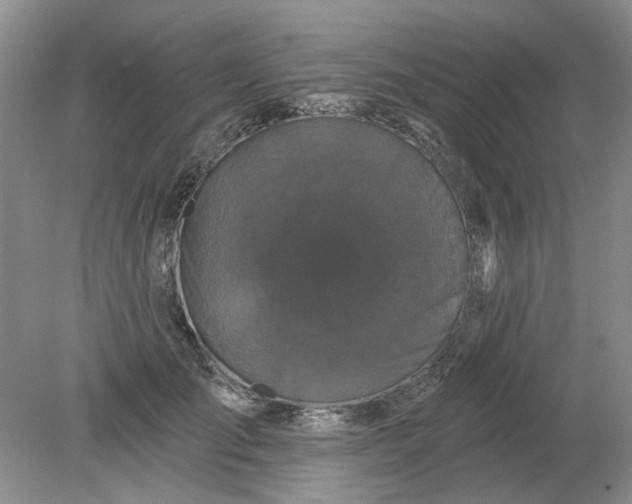 X0000078290701200611172123