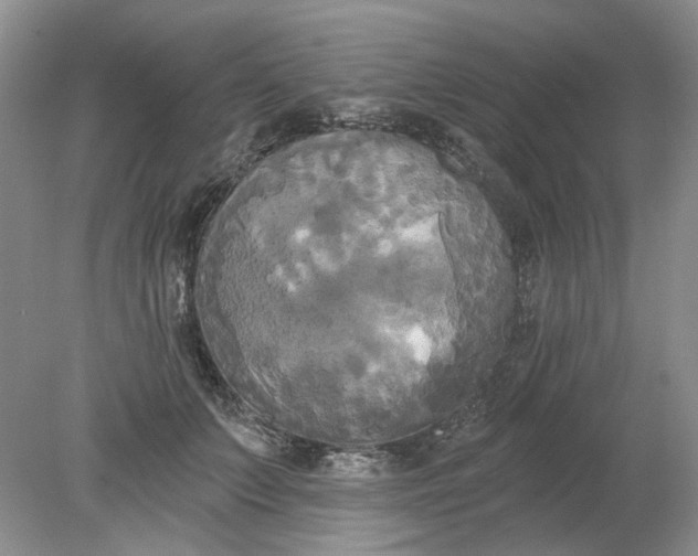 X0000078290703200611172122