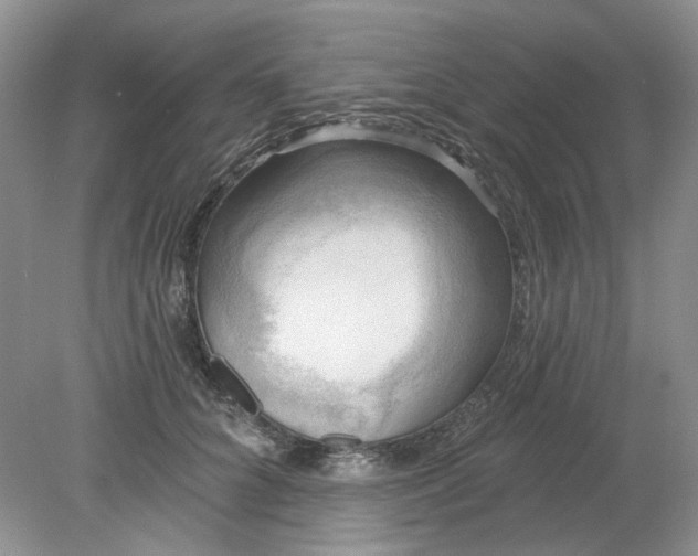 X0000078290704200611172122