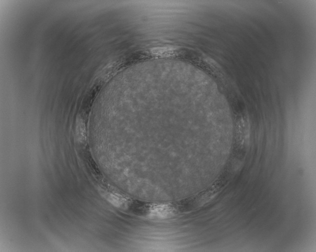 X0000078290705200611172122