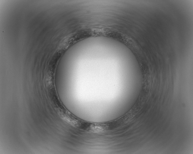 X0000078290706200611172122