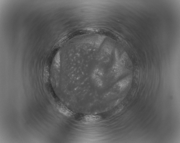 X0000078290707200611172122