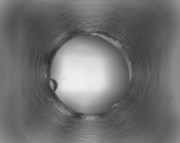 X0000078290710200611172122