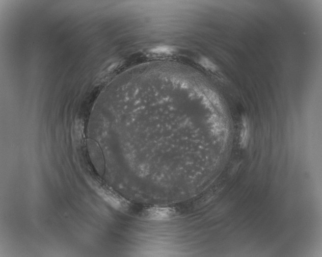 X0000078290711200611172122