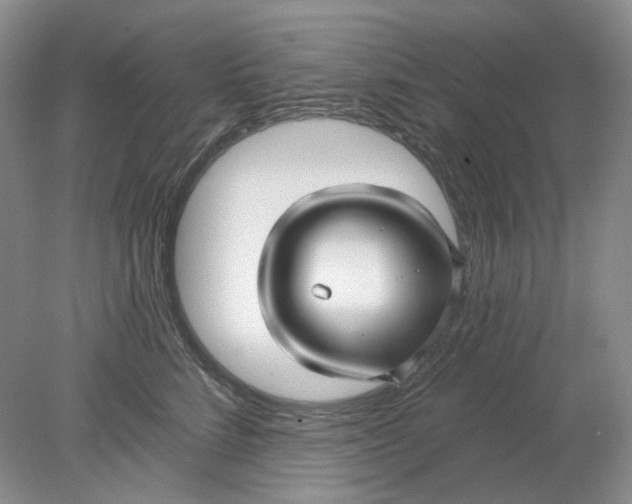 X0000078290712200611172122