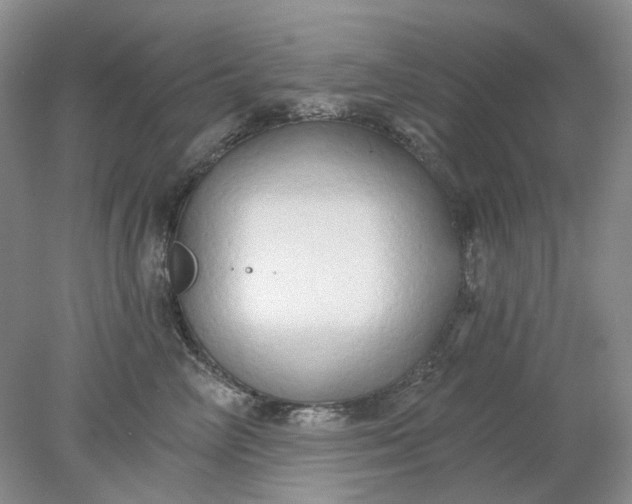 X0000078290714200611172122