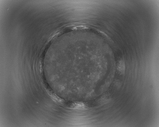 X0000078290715200611172122