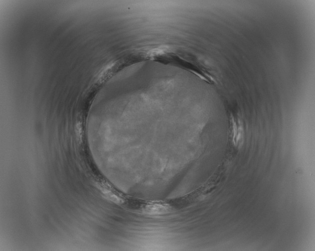 X0000078290716200611172122