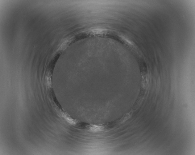 X0000078290718200611172122