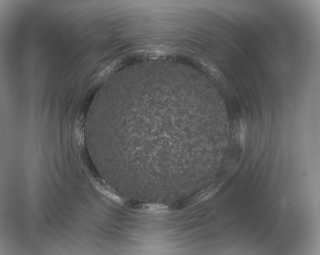 X0000078290719200611172122