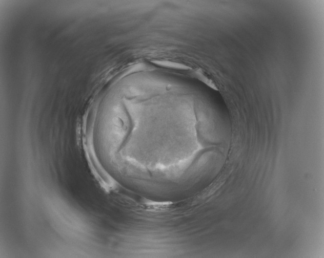 X0000078290720200611172122