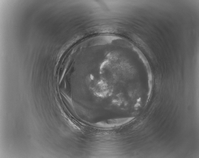 X0000078290721200611172121