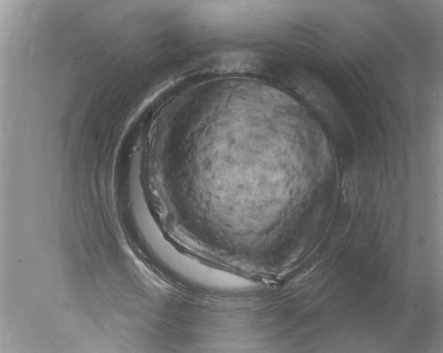 X0000078290722200611172121