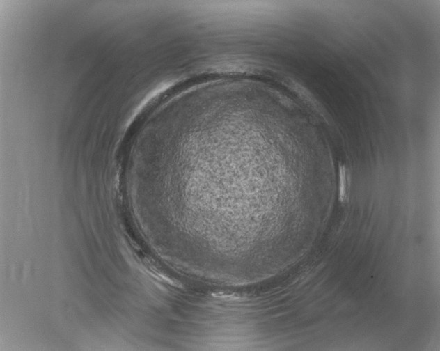 X0000078290723200611172121