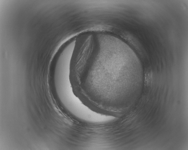 X0000078290724200611172121