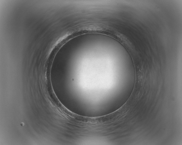 X0000078290727200611172121