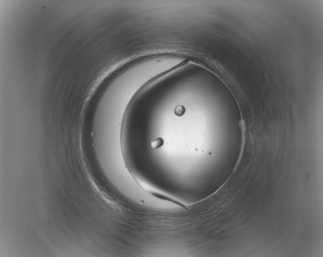 X0000078290728200611172121