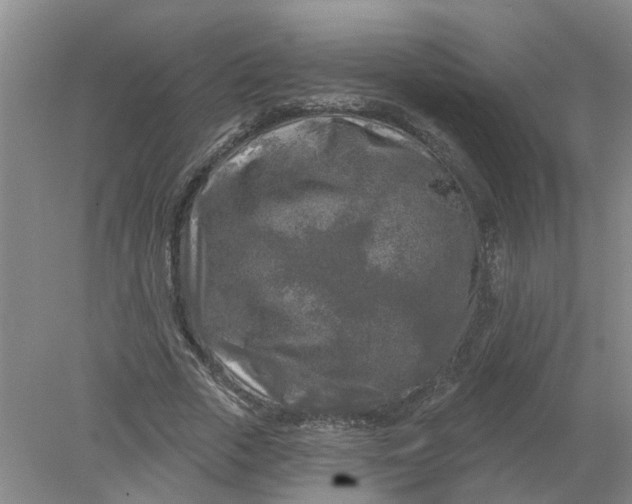 X0000078290729200611172122