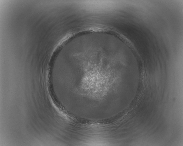 X0000078290730200611172122