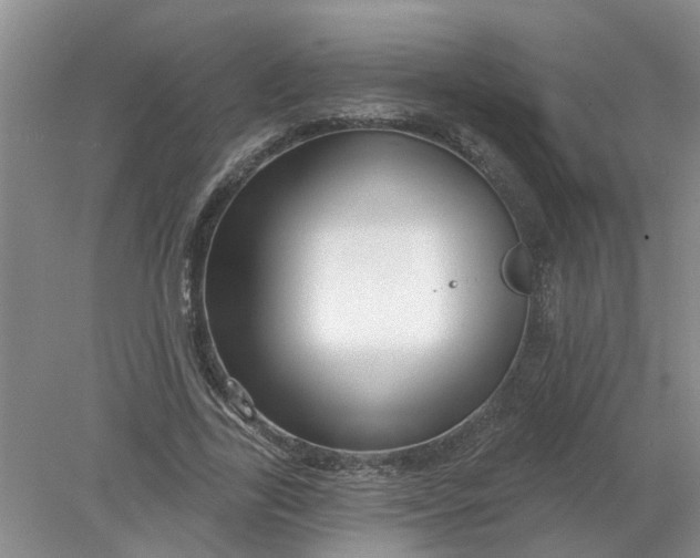 X0000078290731200611172122