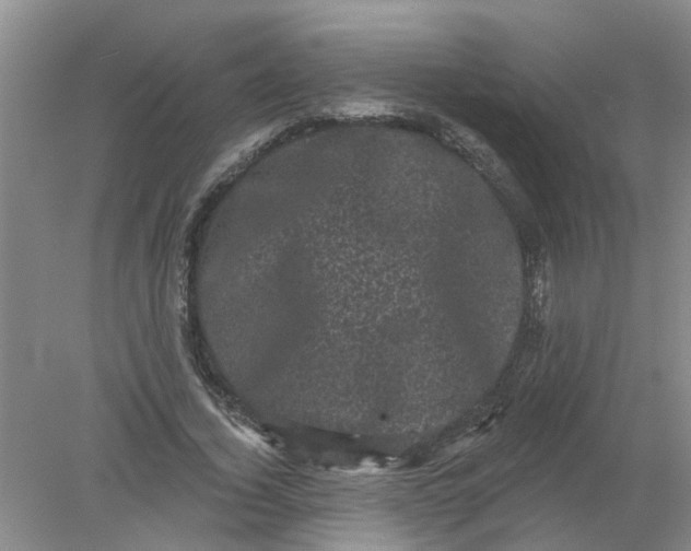 X0000078290732200611172122