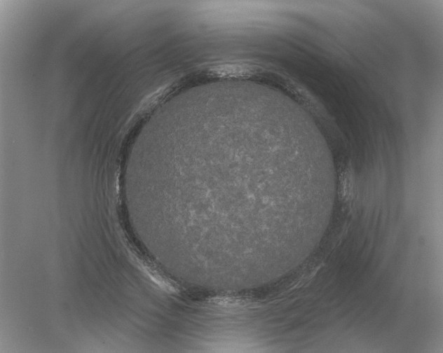 X0000078290733200611172122