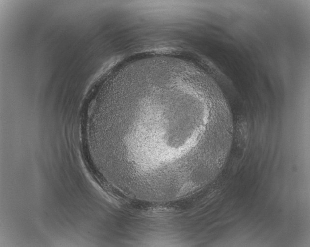 X0000078290734200611172122