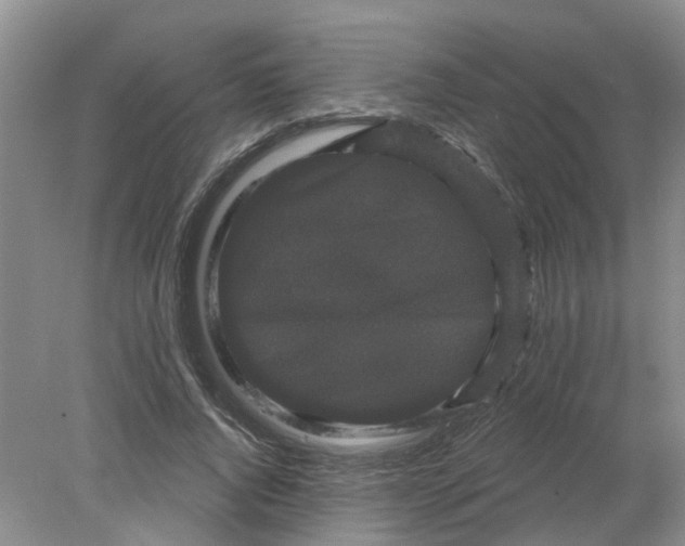 X0000078290736200611172122