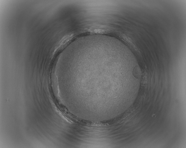 X0000078290738200611172122