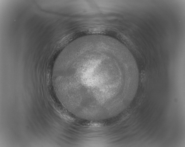 X0000078290741200611172122