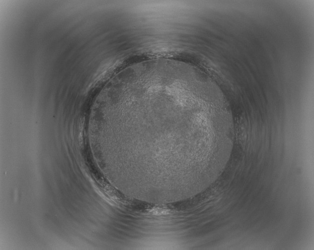 X0000078290742200611172122