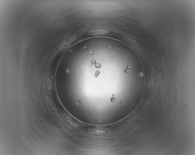 X0000078290743200611172122