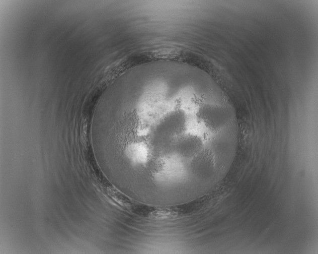 X0000078290745200611172122