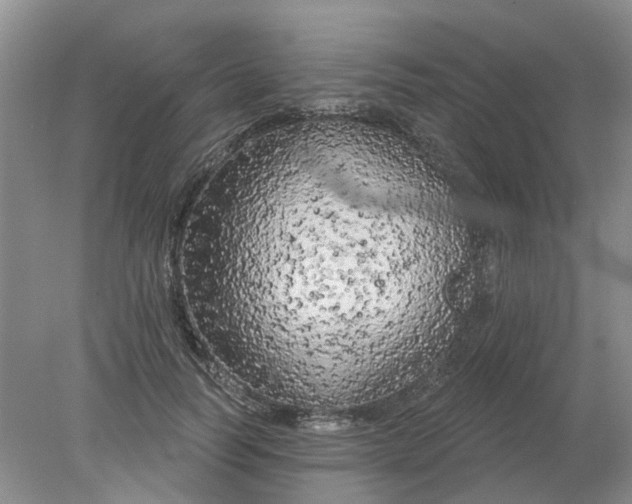 X0000078290746200611172122