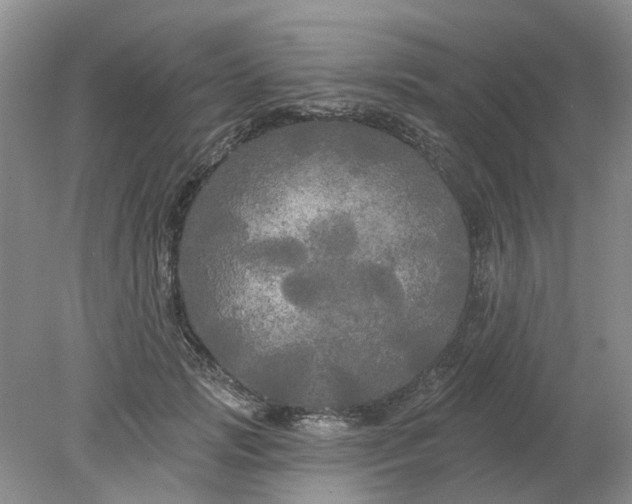 X0000078290749200611172122