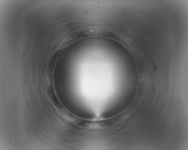 X0000078290751200611172122