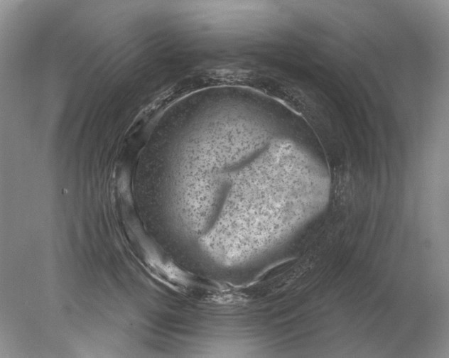 X0000078290752200611172122