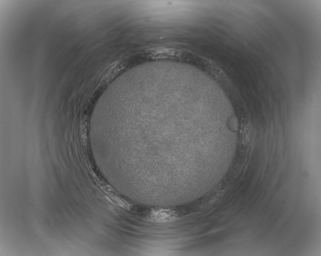 X0000078290753200611172122