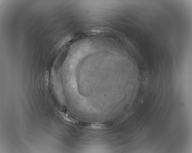 X0000078290758200611172122