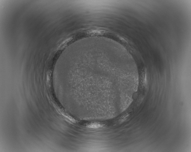 X0000078290759200611172122