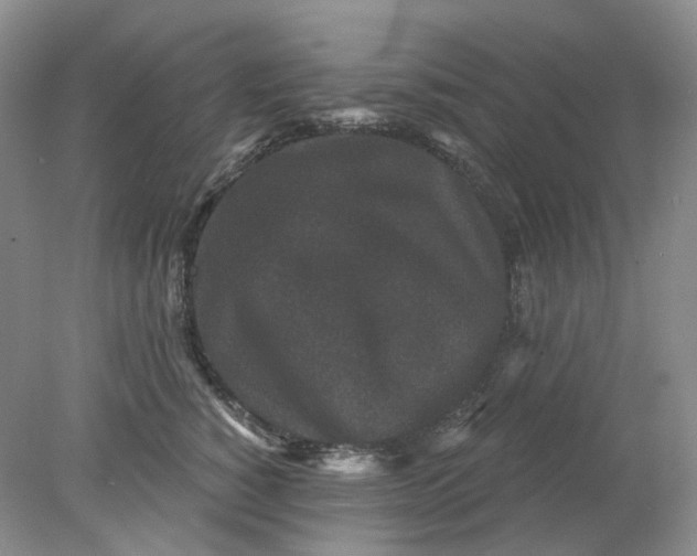 X0000078290760200611172122