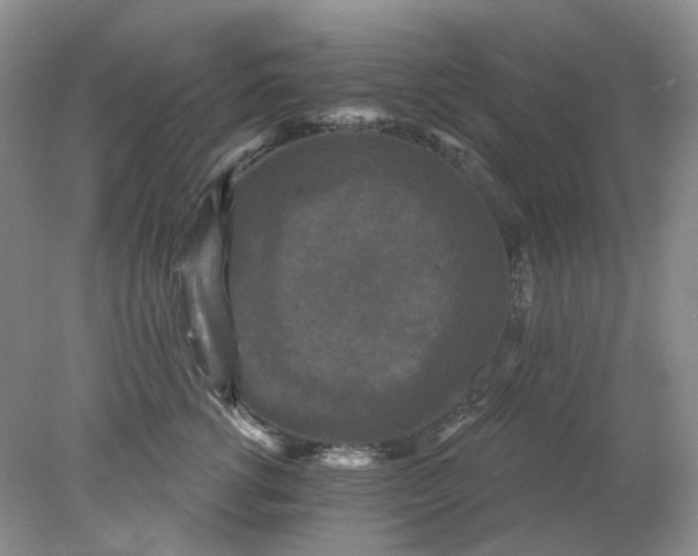 X0000078290762200611172122