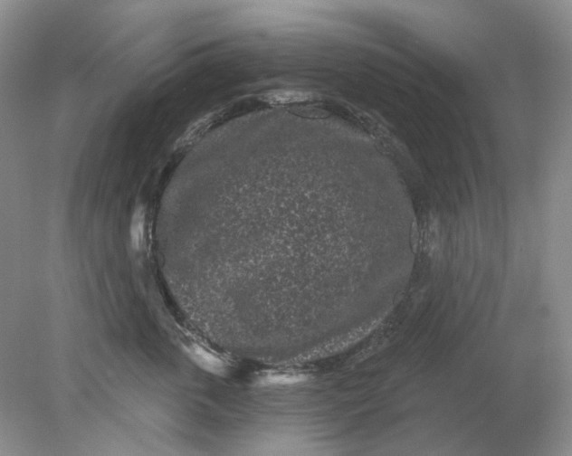 X0000078290763200611172122