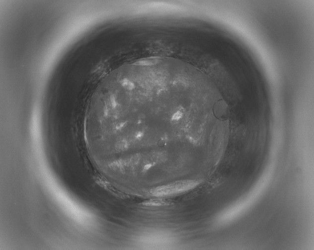 X0000078290765200611172122