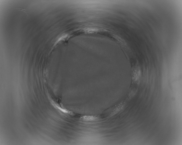 X0000078290766200611172122