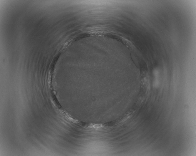 X0000078290767200611172122