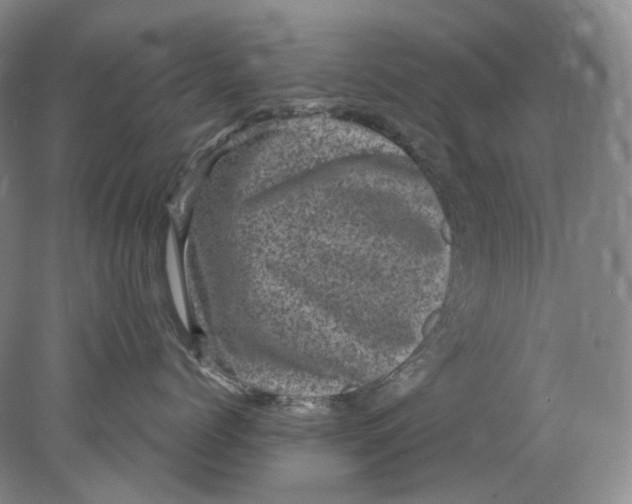 X0000078290768200611172122