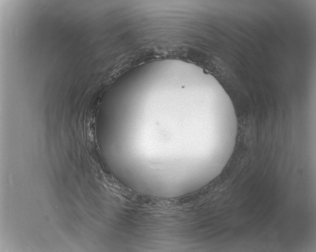 X0000078290770200611172121