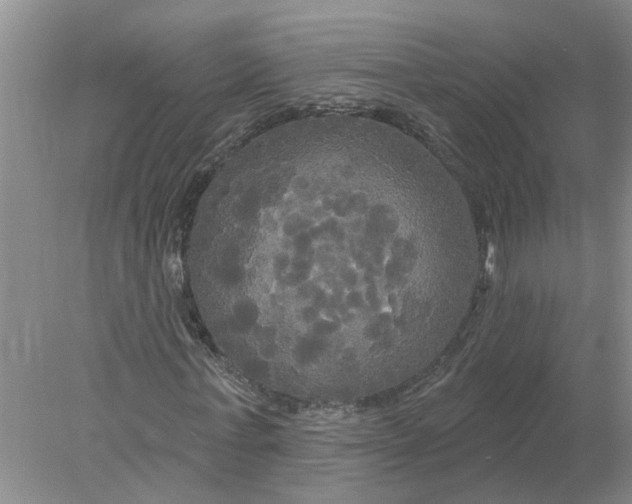 X0000078290771200611172121